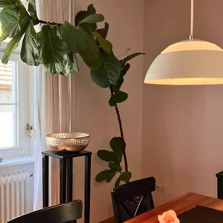 Apartamento Seeglueck Seeliebe - Charmante Jugendstilwohnung Mit Parkplatz Direkt Im Zentrum Nahe Bahnhof Und Seeufer In